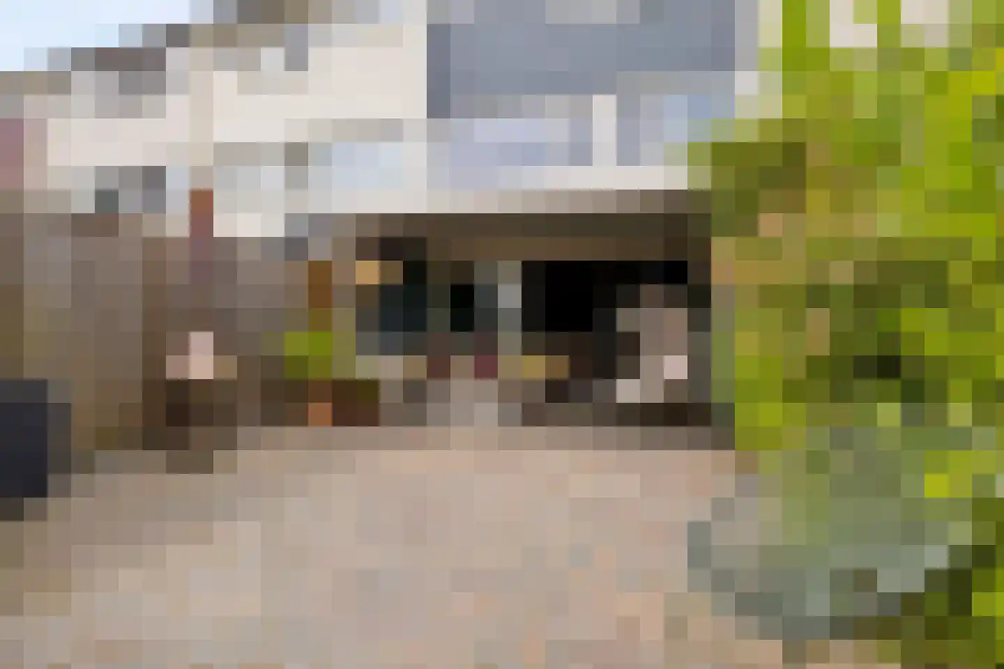 Bermershof 505 Uden thumbnail 37