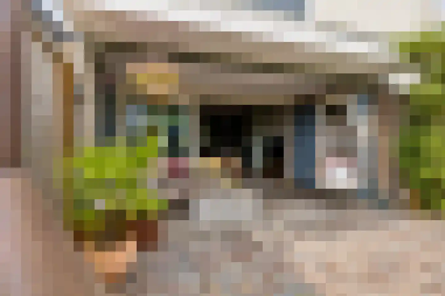 Bermershof 505 Uden thumbnail 39
