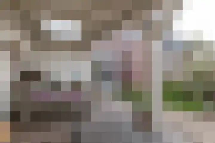 Bermershof 532 Uden thumbnail 40