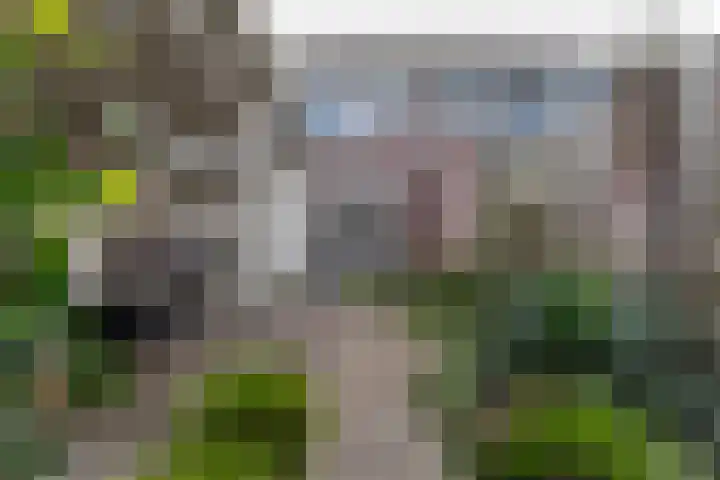 Bermershof 532 Uden thumbnail 41
