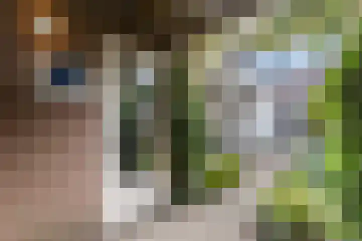 Bermershof 532 Uden thumbnail 42