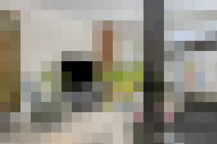 Bermershof 542 Uden thumbnail 7