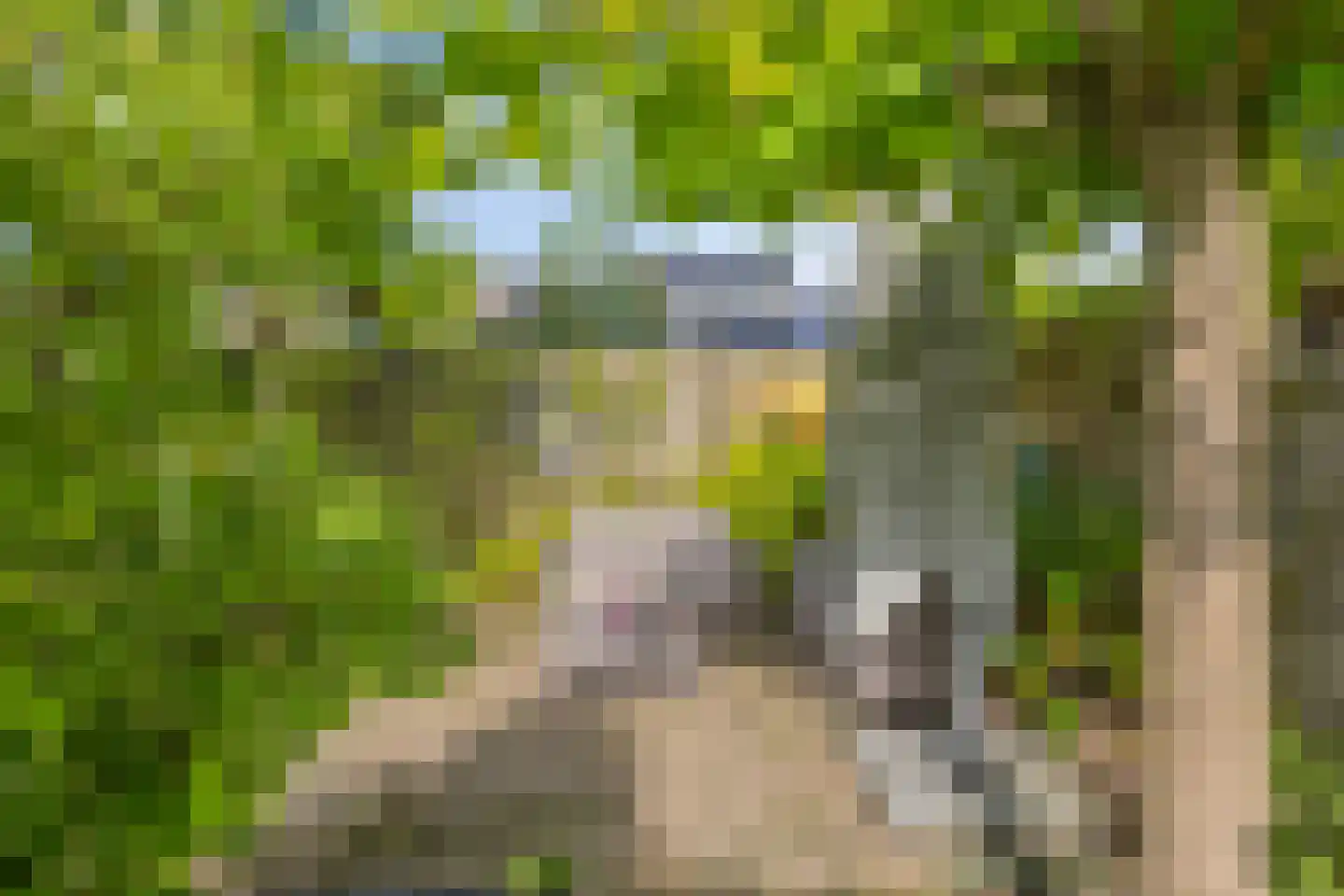 Bermershof 601 Uden thumbnail 32