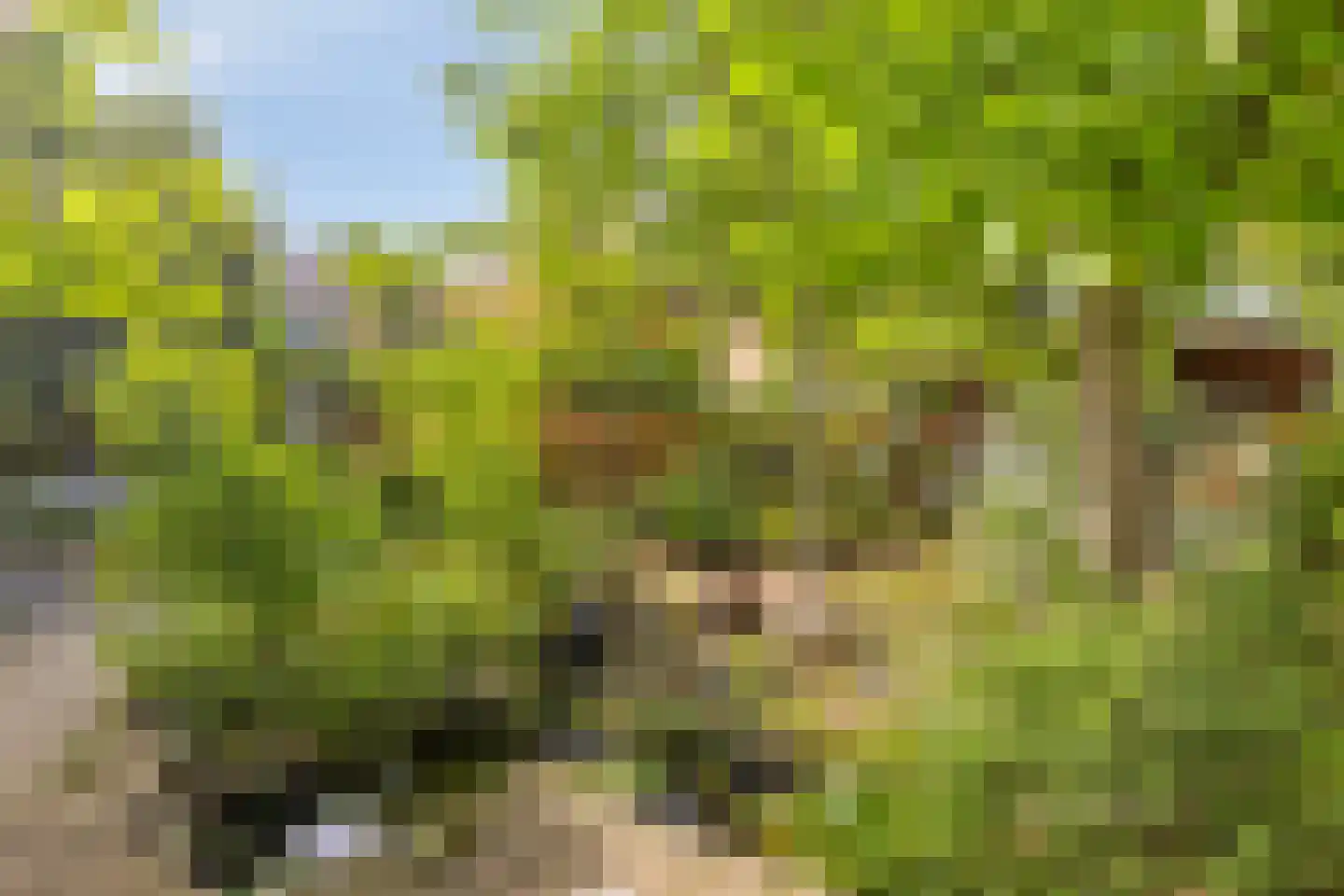 Bermershof 601 Uden thumbnail 33