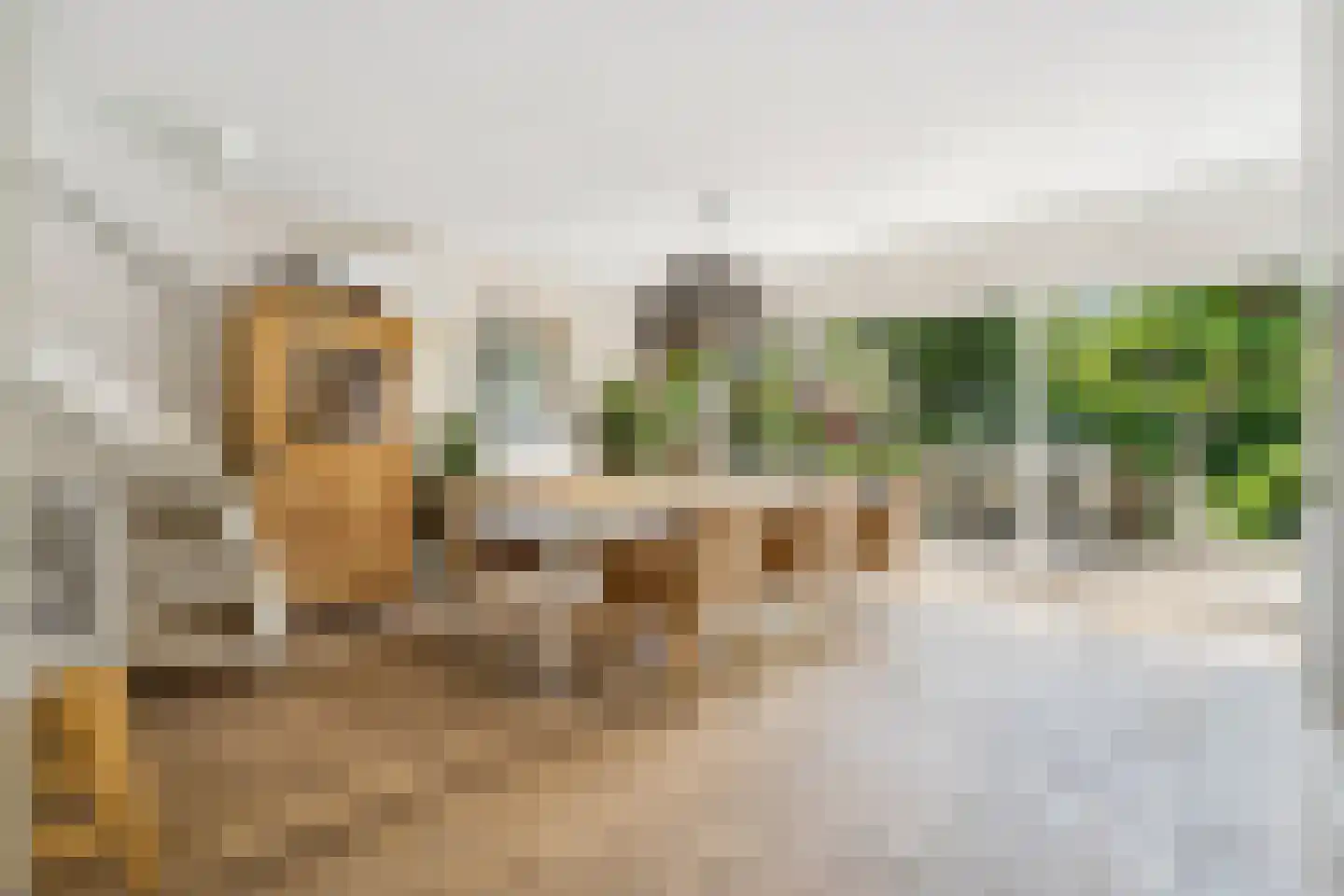 Bermershof 611 Uden thumbnail 13