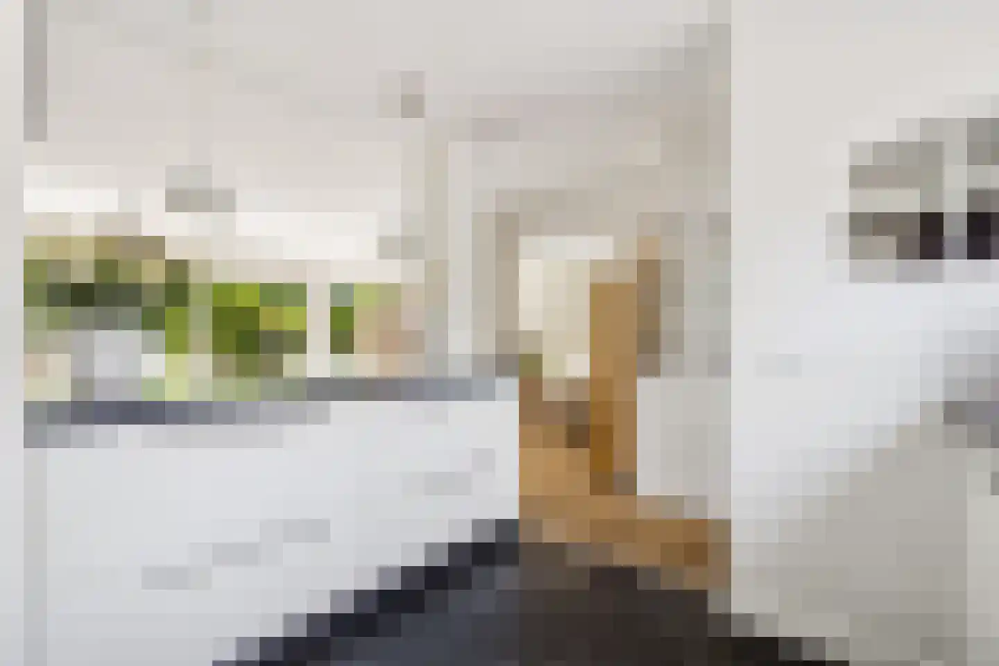 Bermershof 611 Uden thumbnail 18