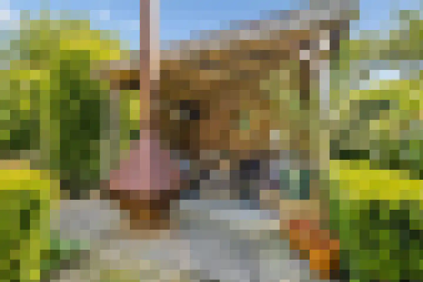 Bermershof 611 Uden thumbnail 46