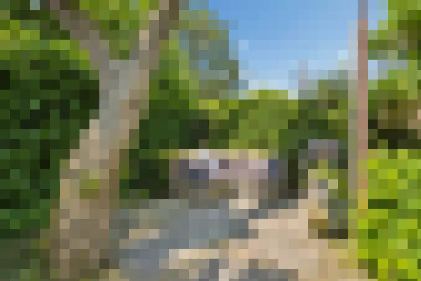 Bermershof 611 Uden thumbnail 48