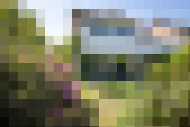 Bermershof 624 Uden thumbnail 24