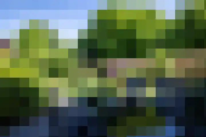 Bermershof 624 Uden thumbnail 26