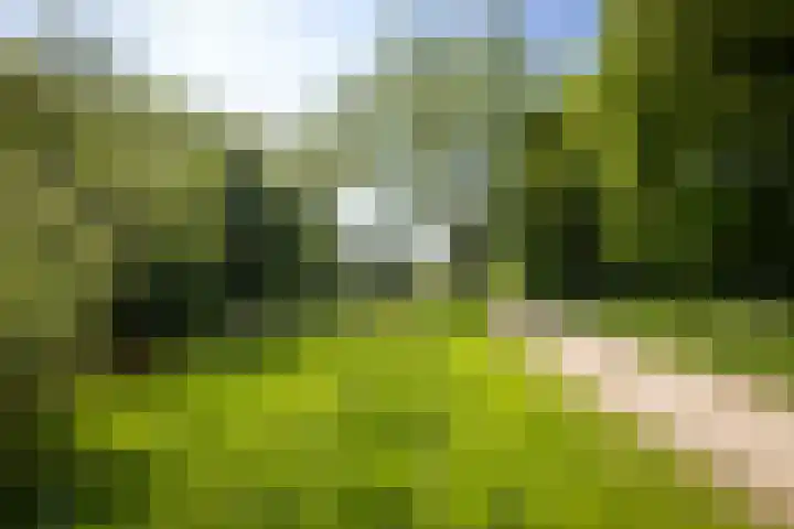 Bermershof 624 Uden thumbnail 28