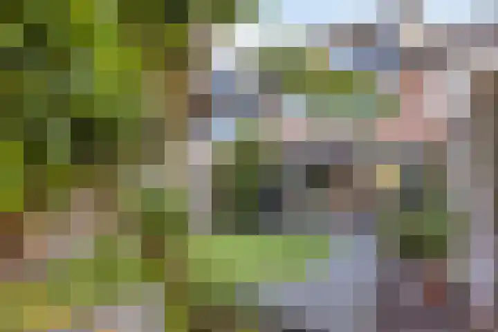 Bermershof 821 Uden foto 3