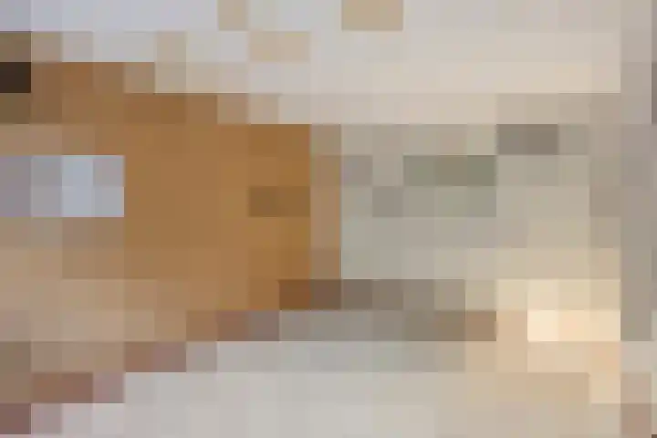 Bermershof 821 Uden thumbnail 33