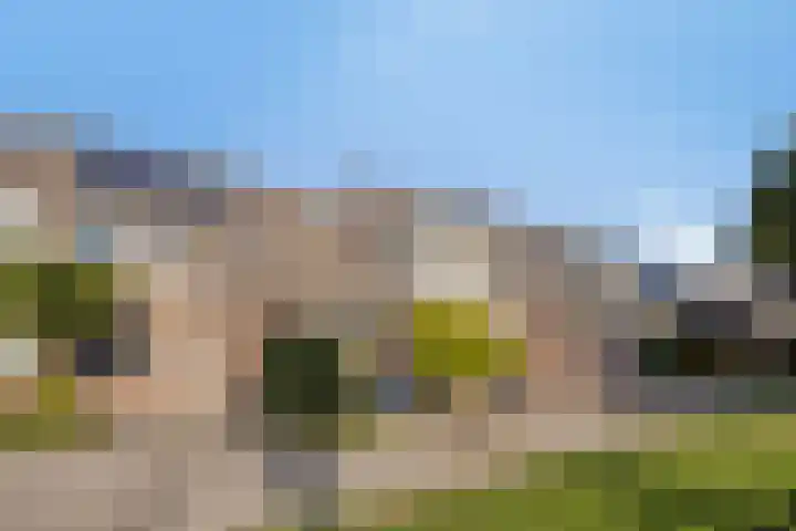 Bermershof 821 Uden thumbnail 4