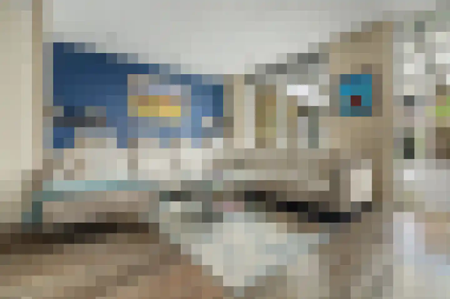Bermsloot 18 Zierikzee thumbnail 8