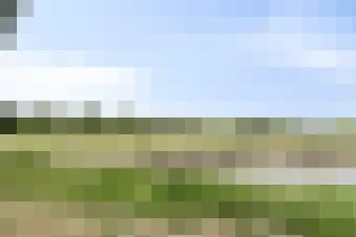 Bermsloot 51 Zierikzee thumbnail 30