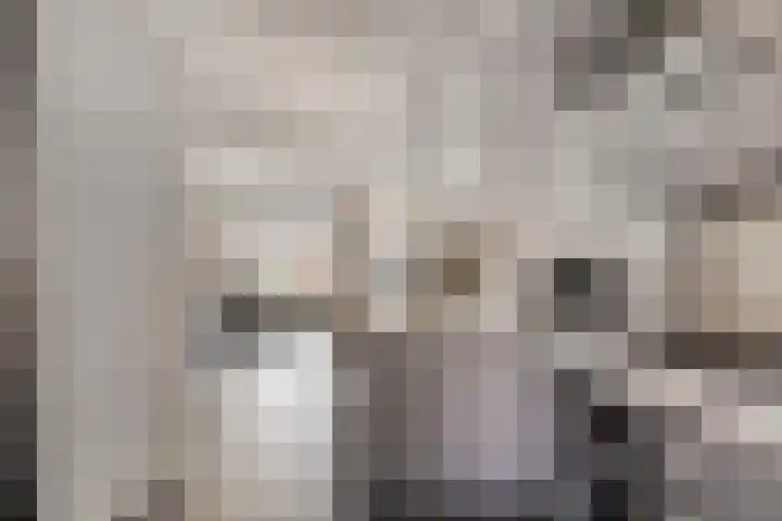 Bermsloot 6 Zierikzee thumbnail 13