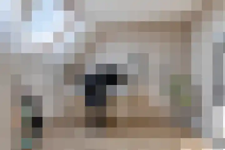 Bermsloot 6 Zierikzee thumbnail 27