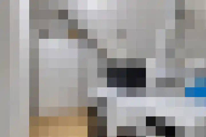 Bermsloot 6 Zierikzee thumbnail 28