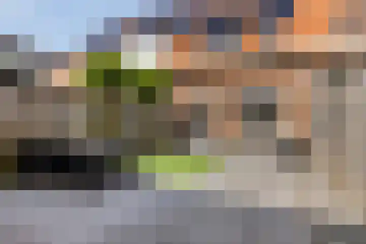 Bermsloot 6 Zierikzee thumbnail 30