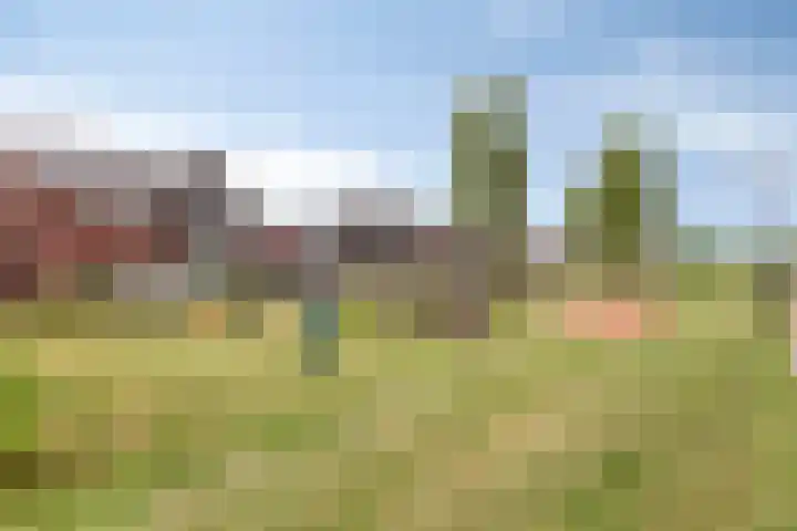 Bermsloot 6 Zierikzee thumbnail 34