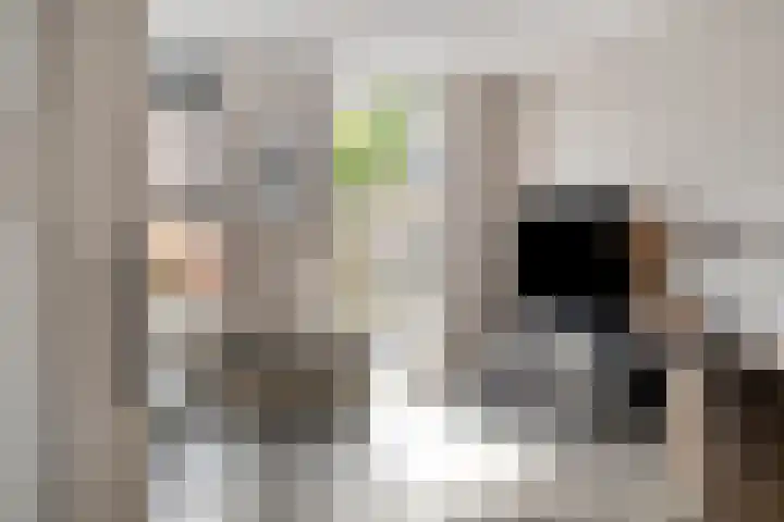 Bermsloot 6 Zierikzee thumbnail 7