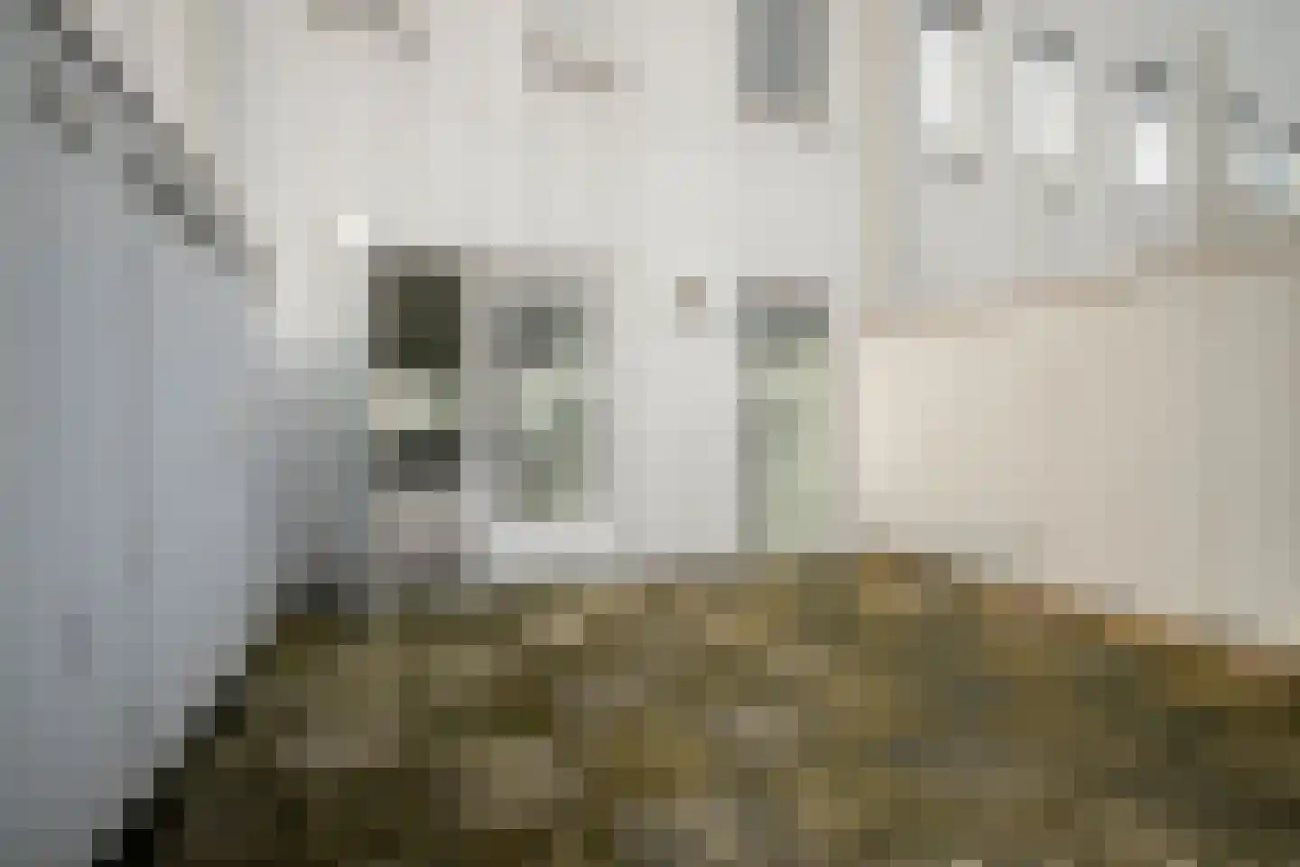 Bermuda 12 Zaandam thumbnail 21