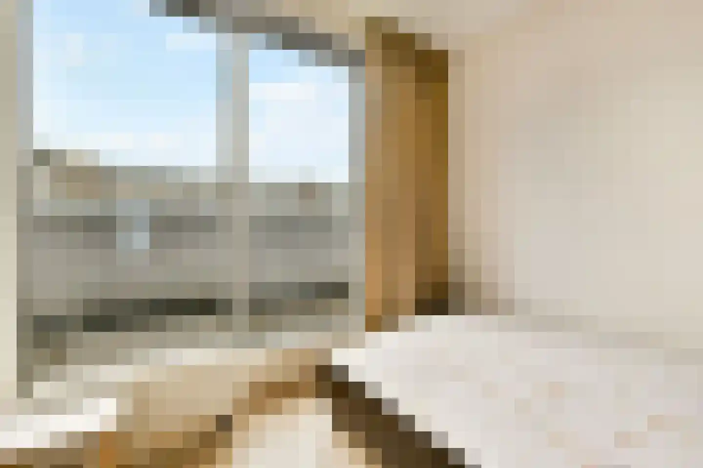 Bermuda 14 Zaandam thumbnail 11