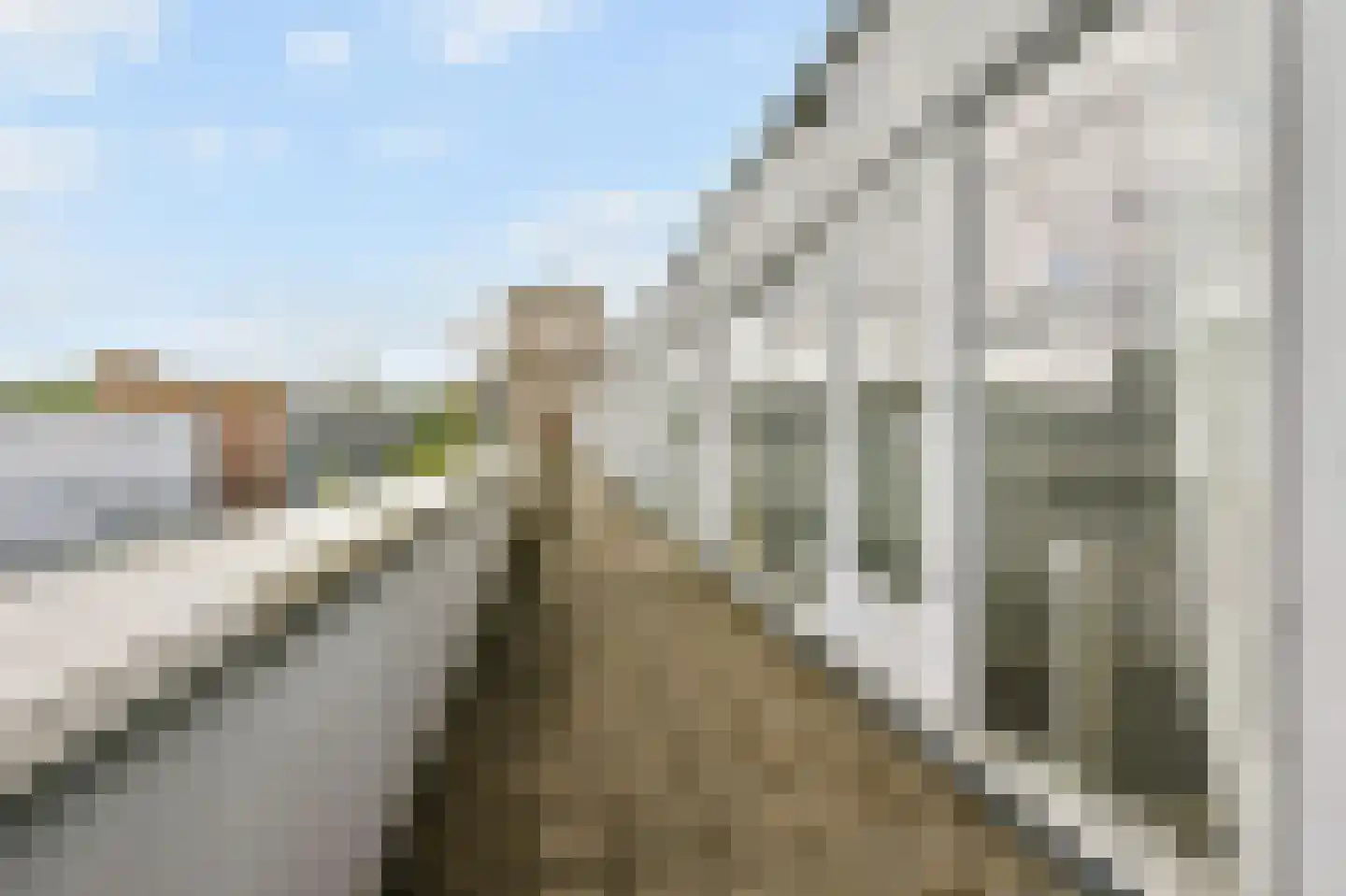 Bermuda 14 Zaandam thumbnail 24