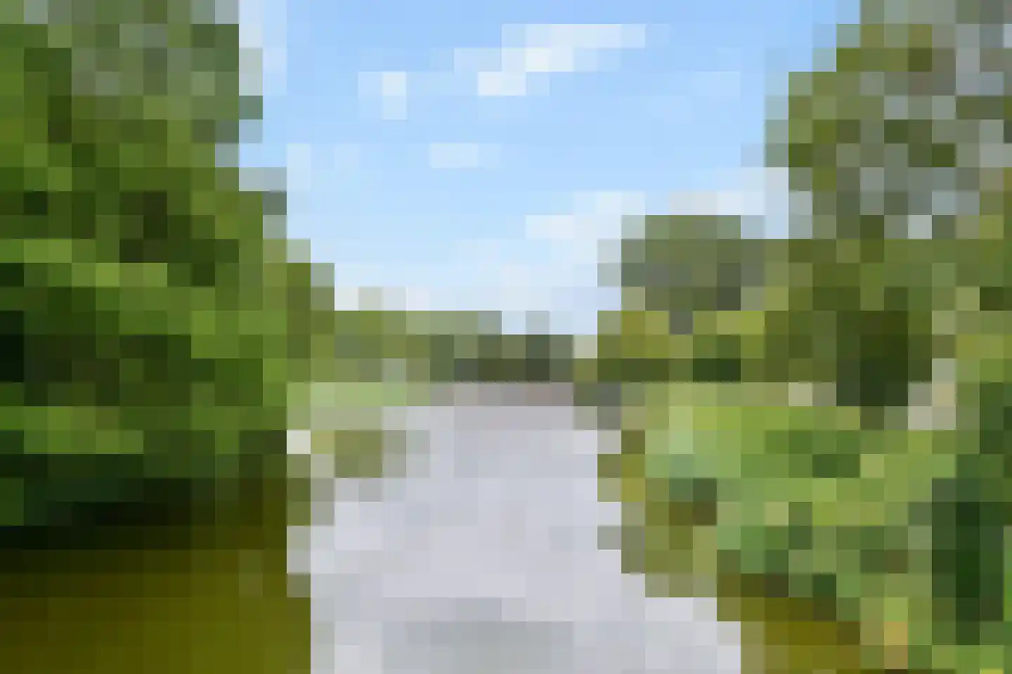 Bermuda 14 Zaandam thumbnail 32
