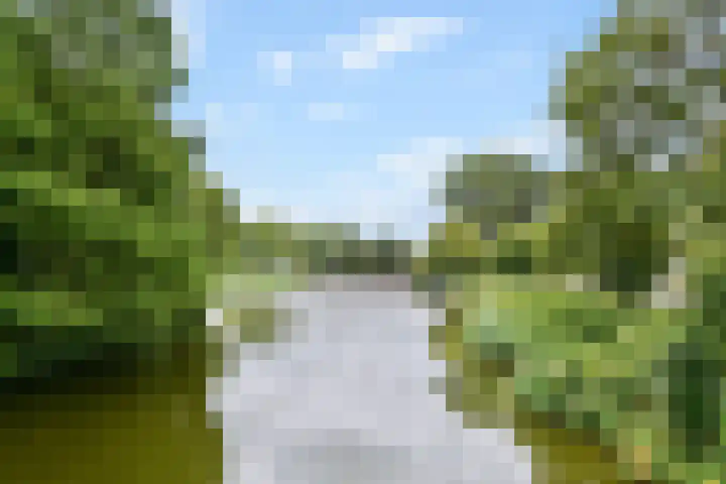 Bermuda 14 Zaandam thumbnail 33