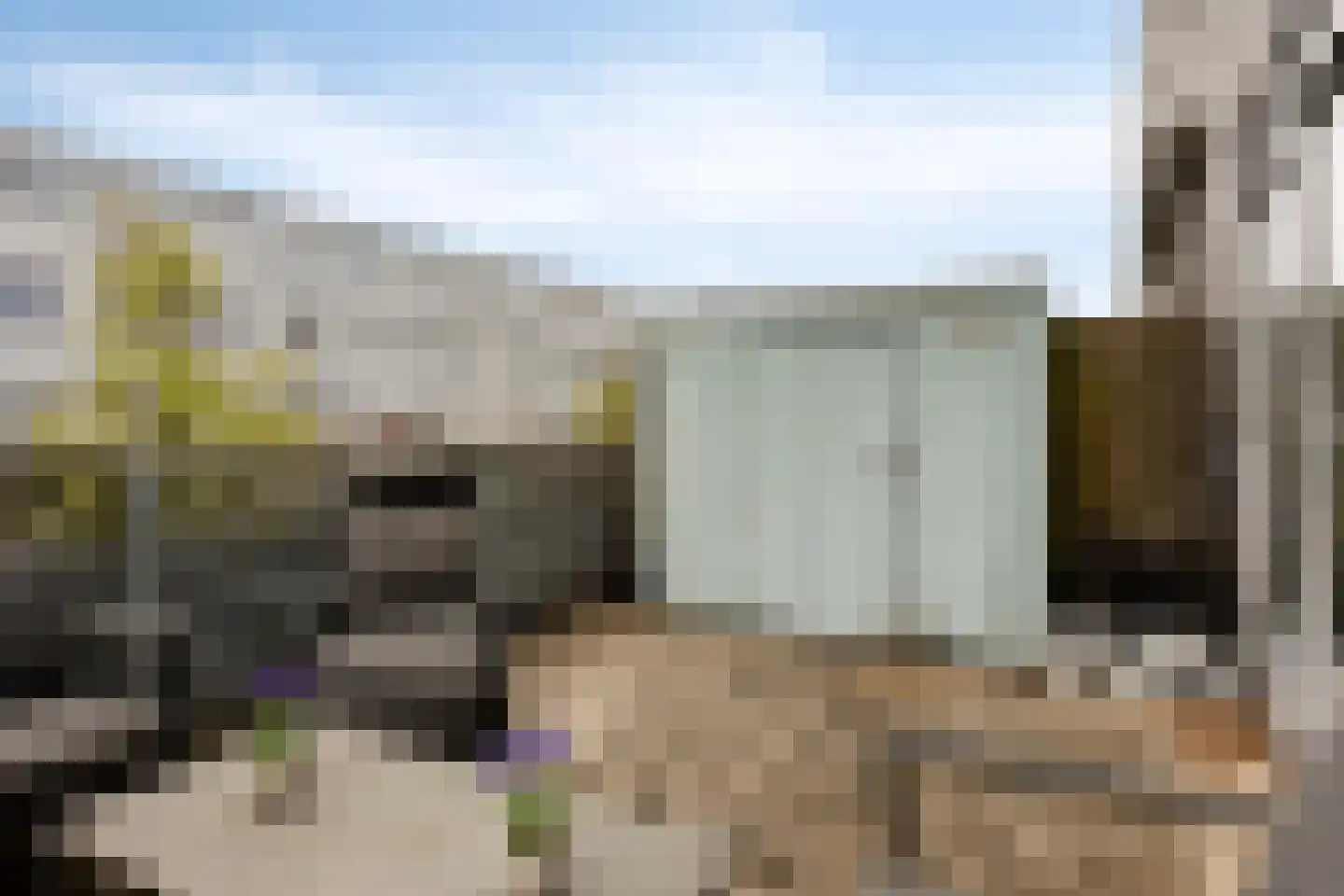 Bermuda 25 Zaandam thumbnail 17