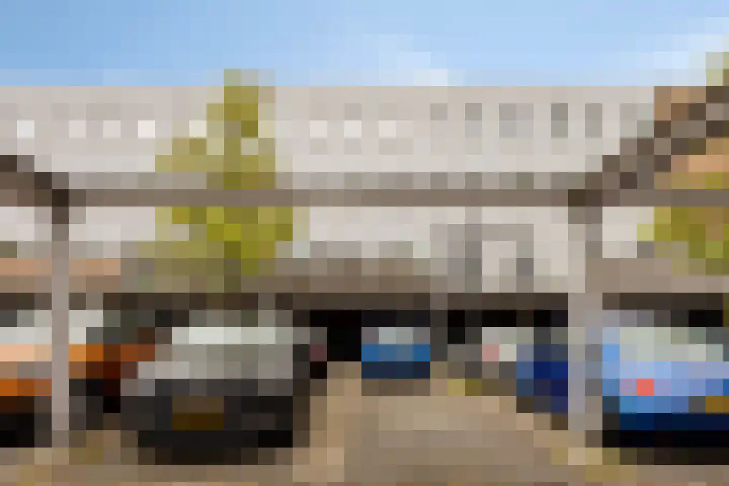 Bermuda 25 Zaandam thumbnail 27