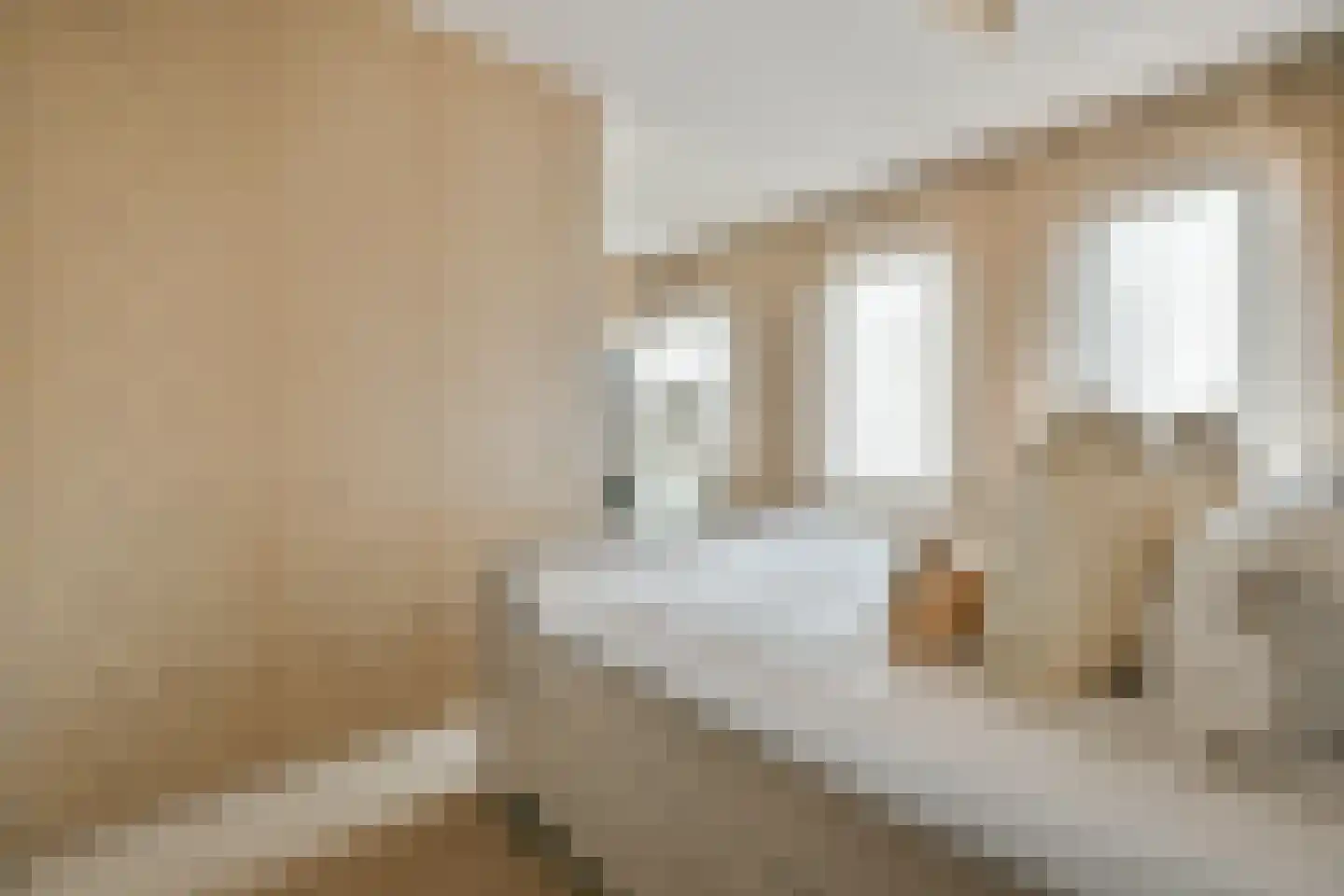 Bermuda 26 Zaandam thumbnail 12