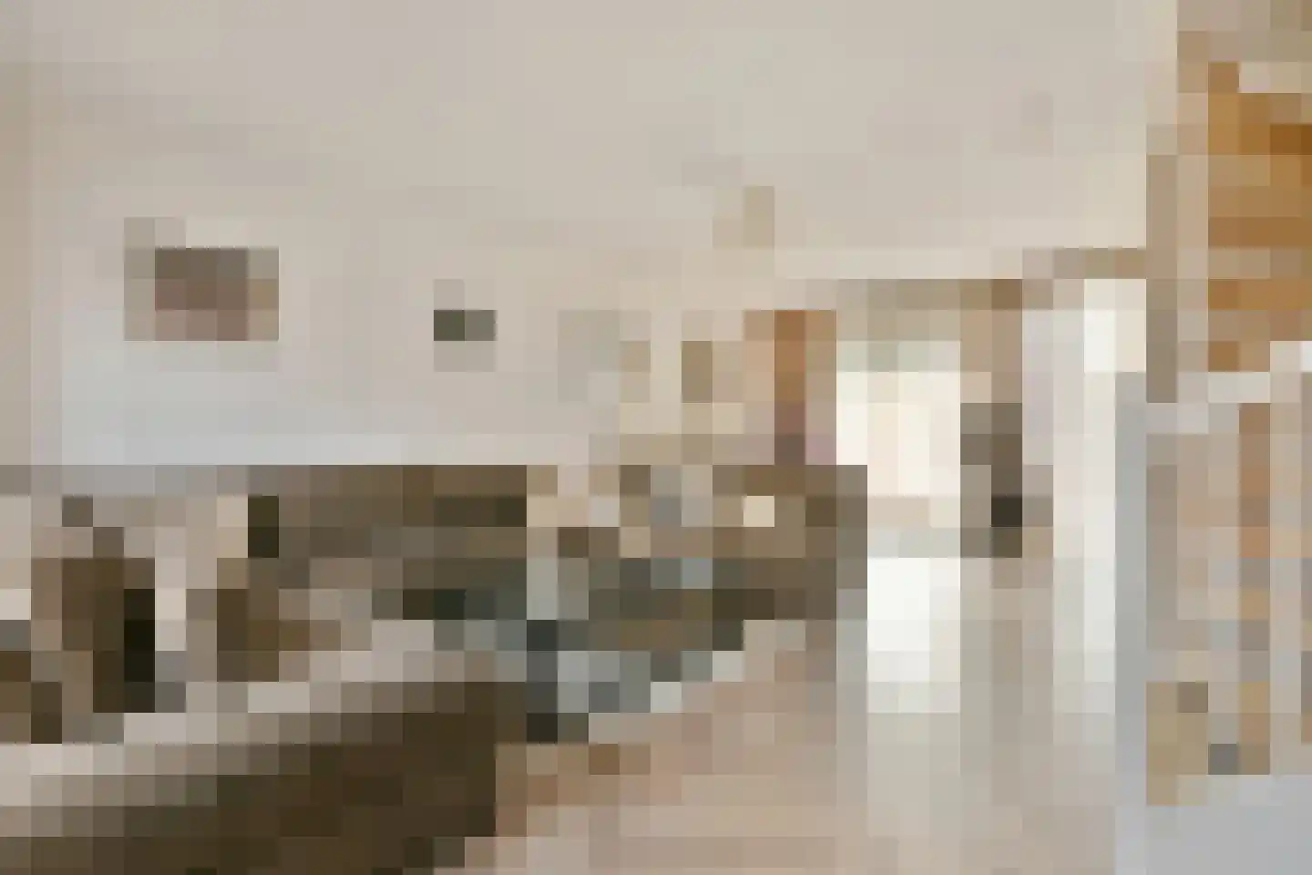 Bermuda 26 Zaandam thumbnail 7