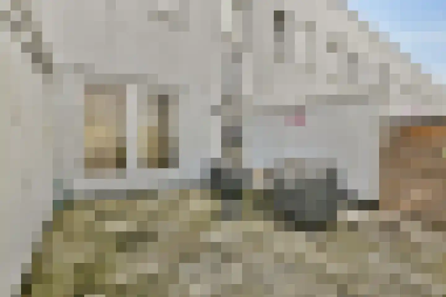 Bermuda 26 Zaandam thumbnail 8