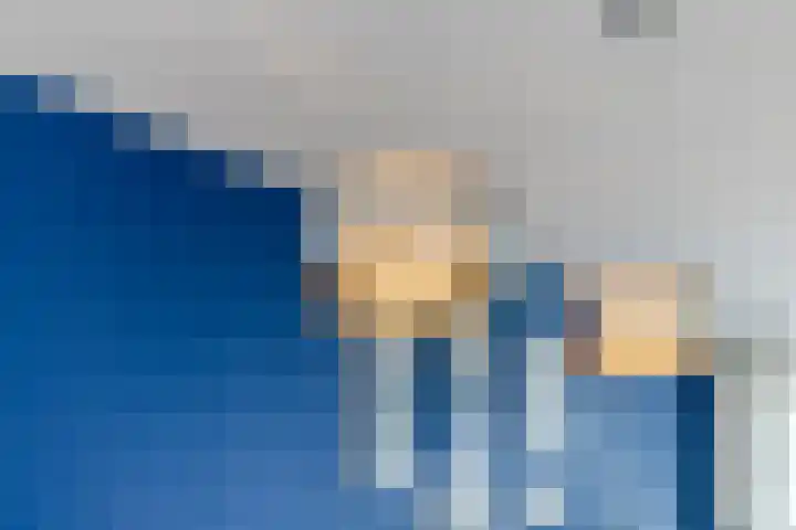 Bermuda 96 Zaandam thumbnail 17