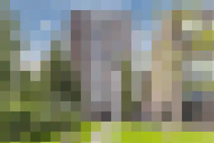Bermuda 96 Zaandam thumbnail 39