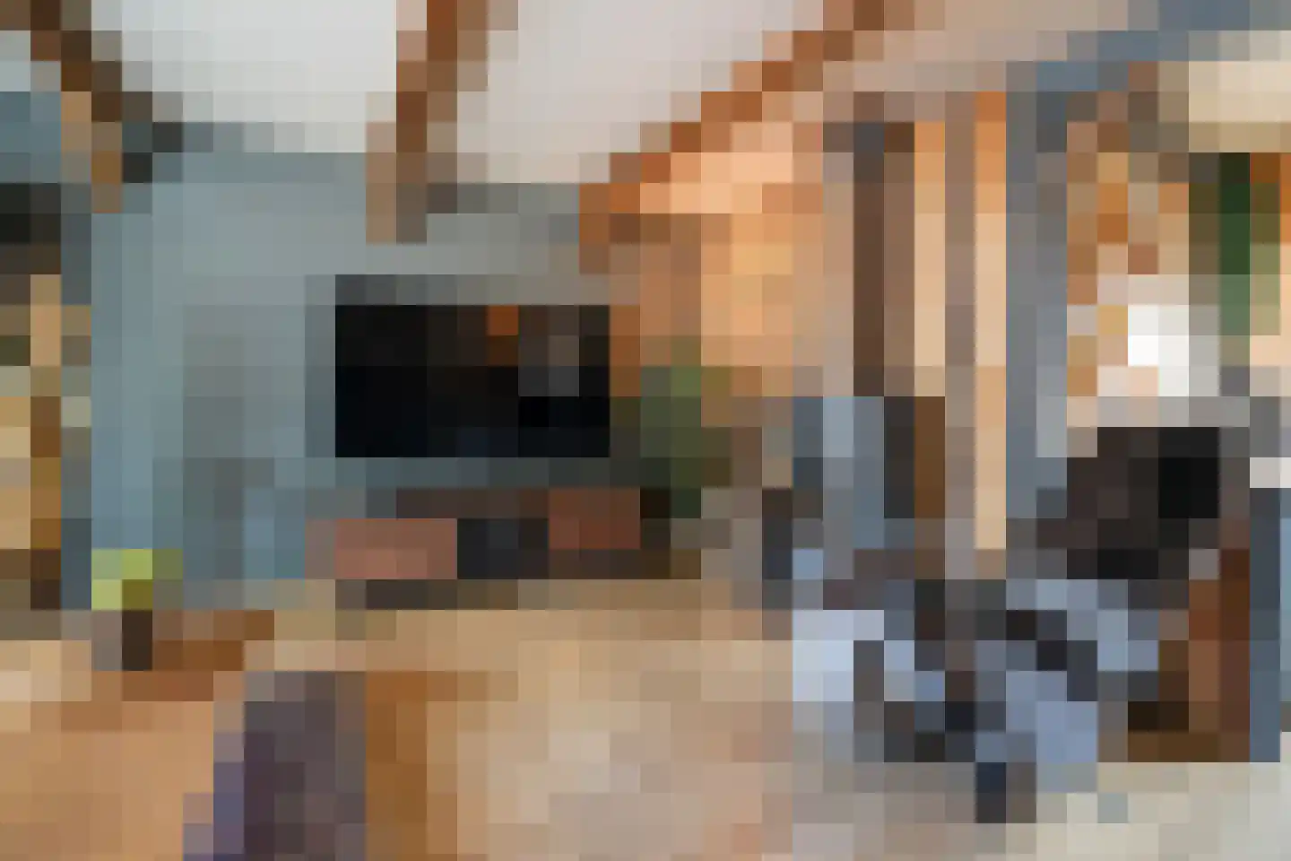 Bermudablauw 12 Zoetermeer thumbnail 14
