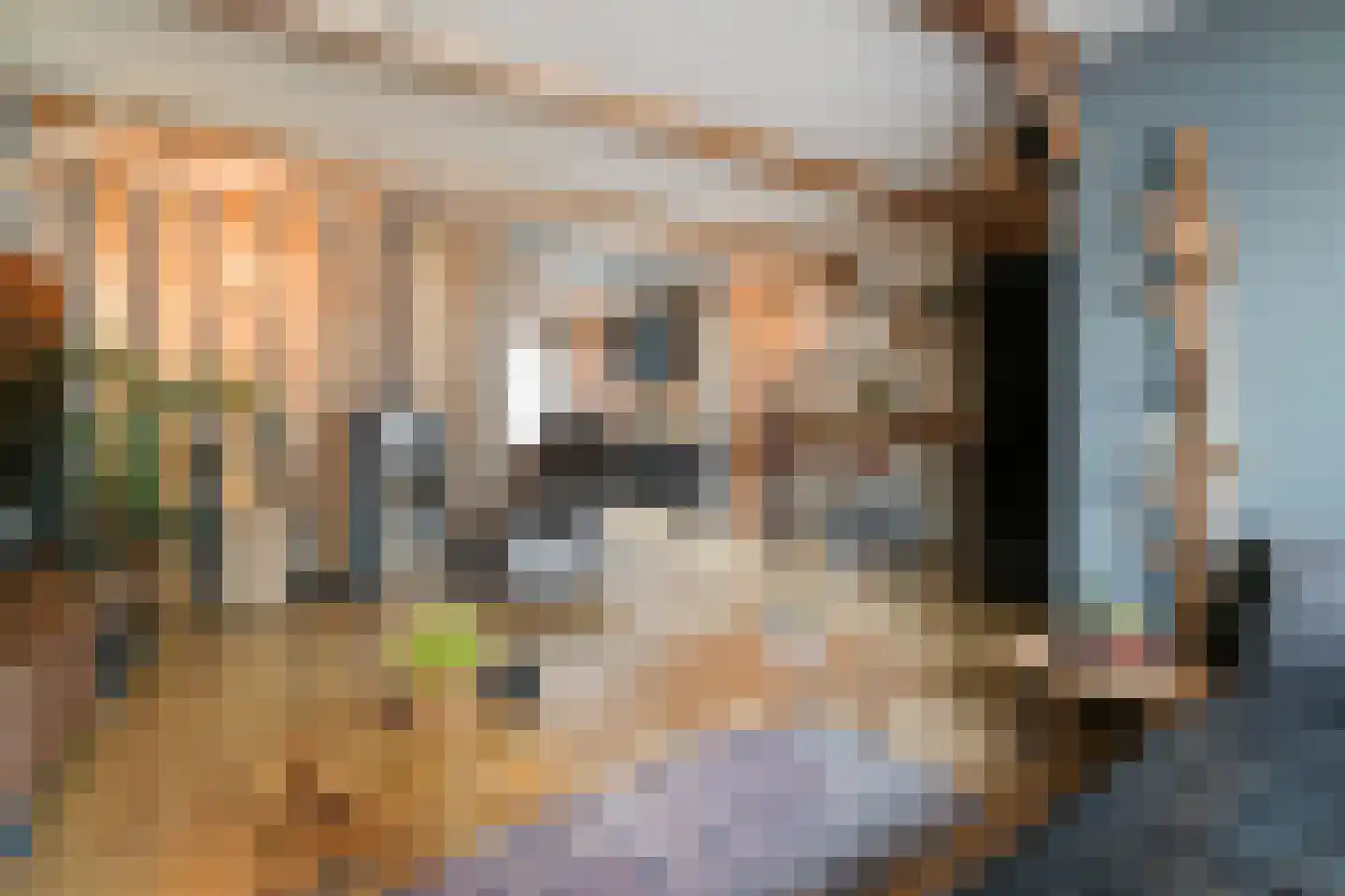 Bermudablauw 12 Zoetermeer thumbnail 15