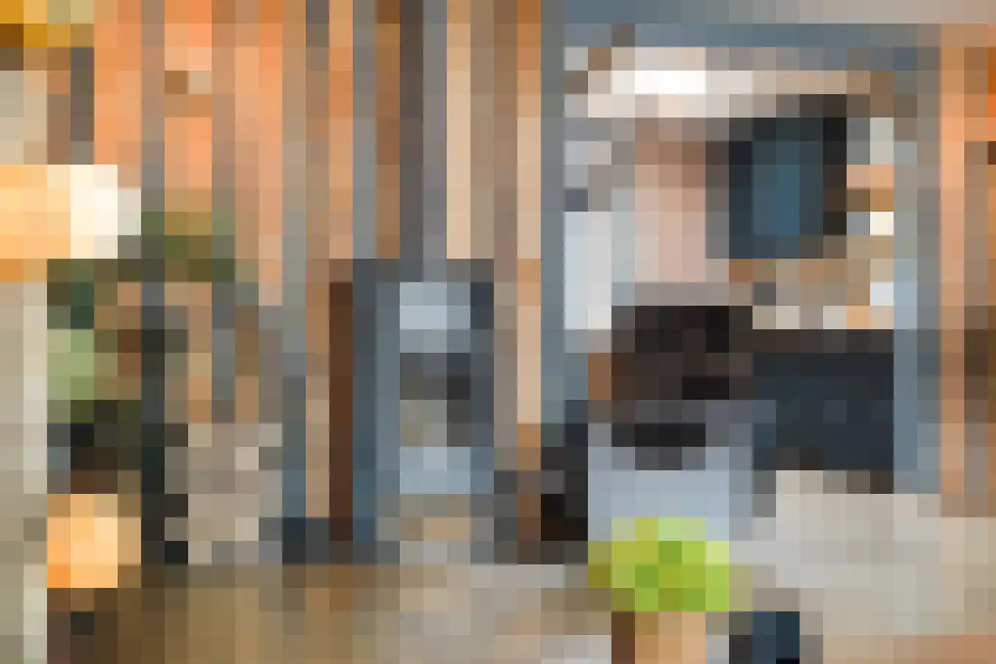 Bermudablauw 12 Zoetermeer thumbnail 16