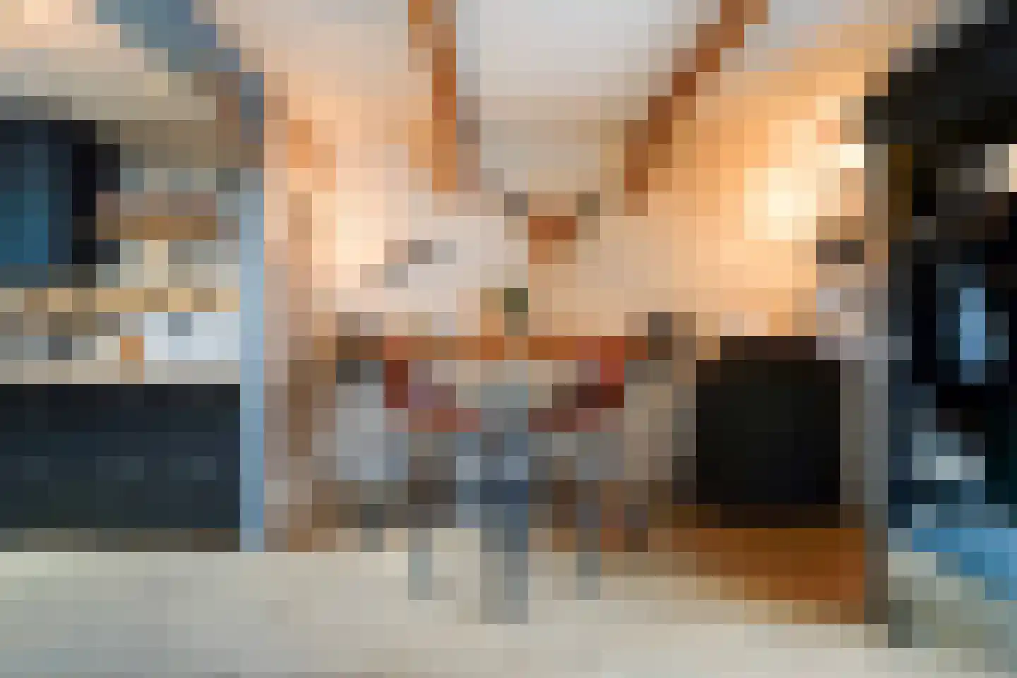 Bermudablauw 12 Zoetermeer thumbnail 18