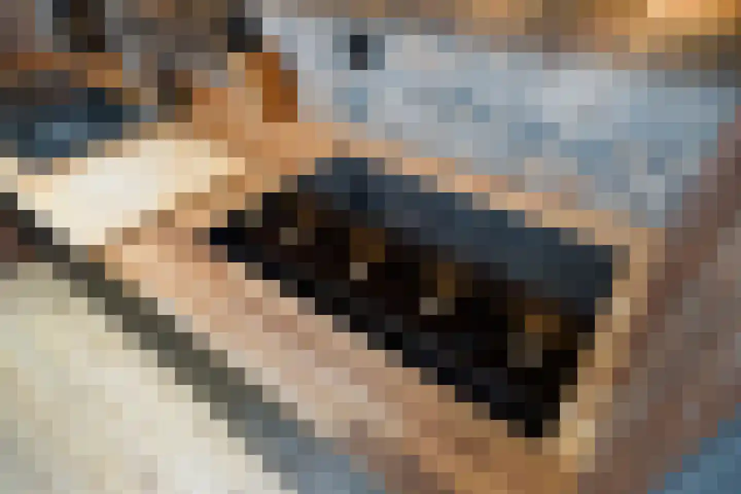 Bermudablauw 12 Zoetermeer thumbnail 21