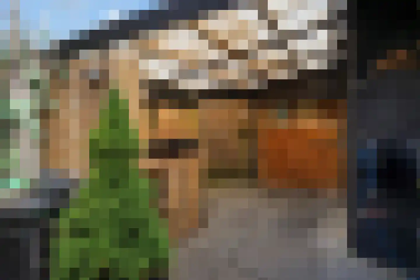 Bermudablauw 12 Zoetermeer thumbnail 27