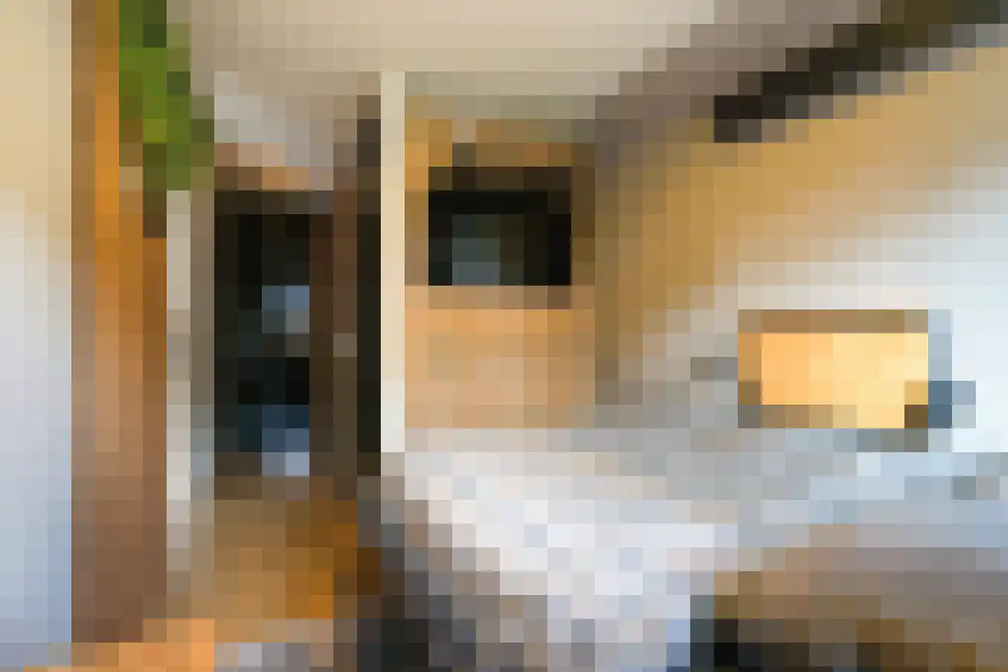Bermudablauw 12 Zoetermeer thumbnail 31