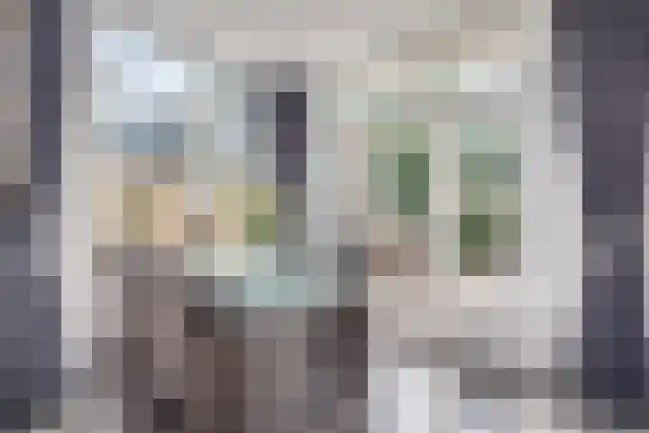 Bermweg 20 Capelle aan den IJssel thumbnail 10