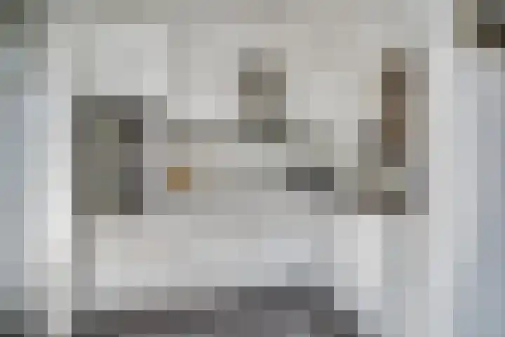 Bermweg 20 Capelle aan den IJssel thumbnail 12