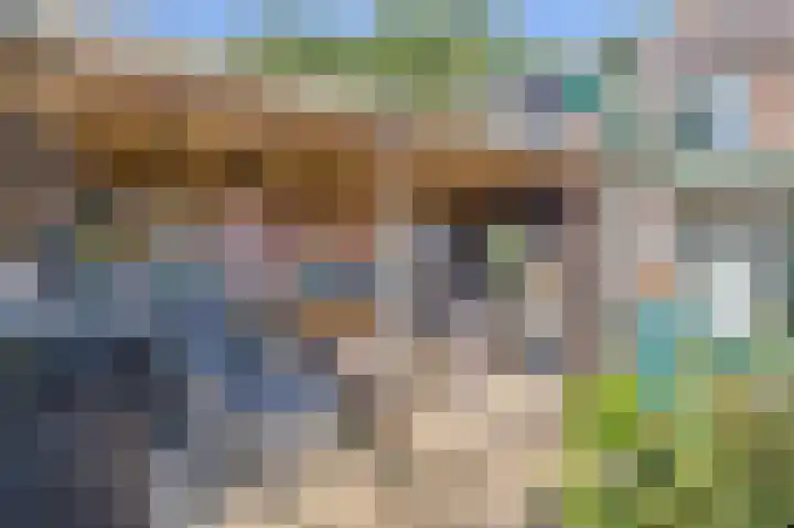 Bermweg 20 Capelle aan den IJssel thumbnail 15
