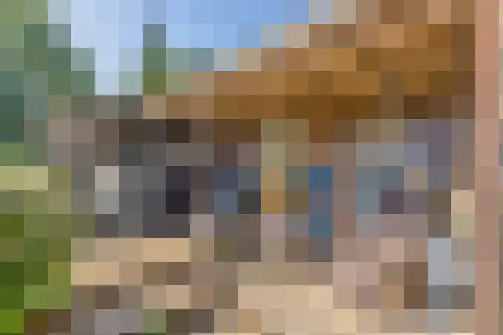 Bermweg 20 Capelle aan den IJssel thumbnail 16