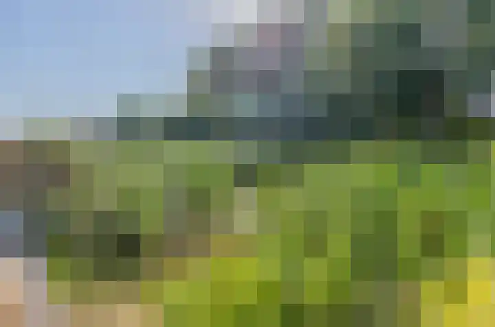 Bermweg 20 Capelle aan den IJssel thumbnail 19